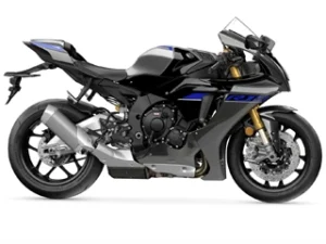 R1M